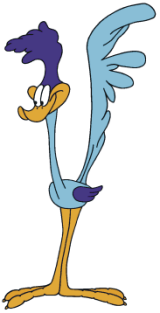 looney tunes characters roadrunner